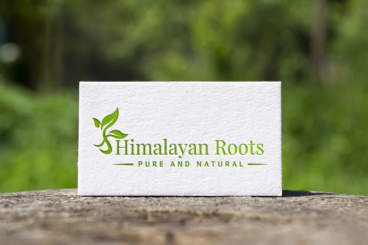 Ayurvedic healing solutions promoting wellness and balance through natural herbs